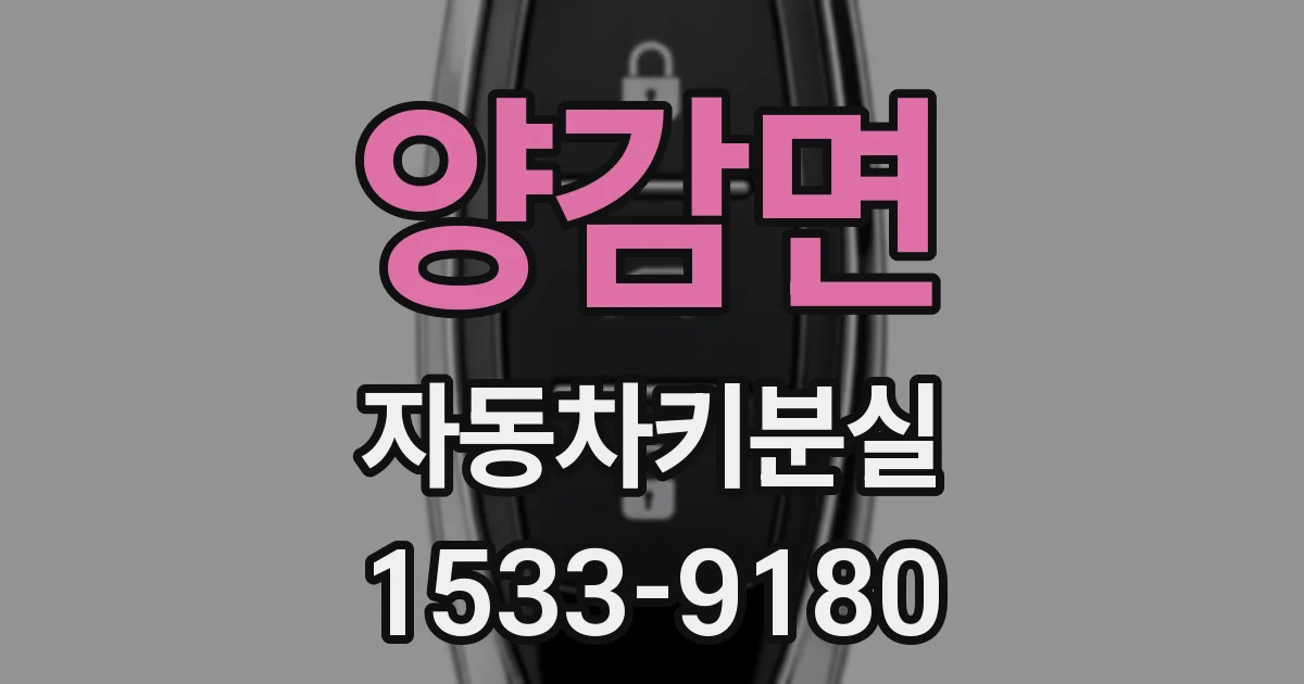 양감면 자동차키분실