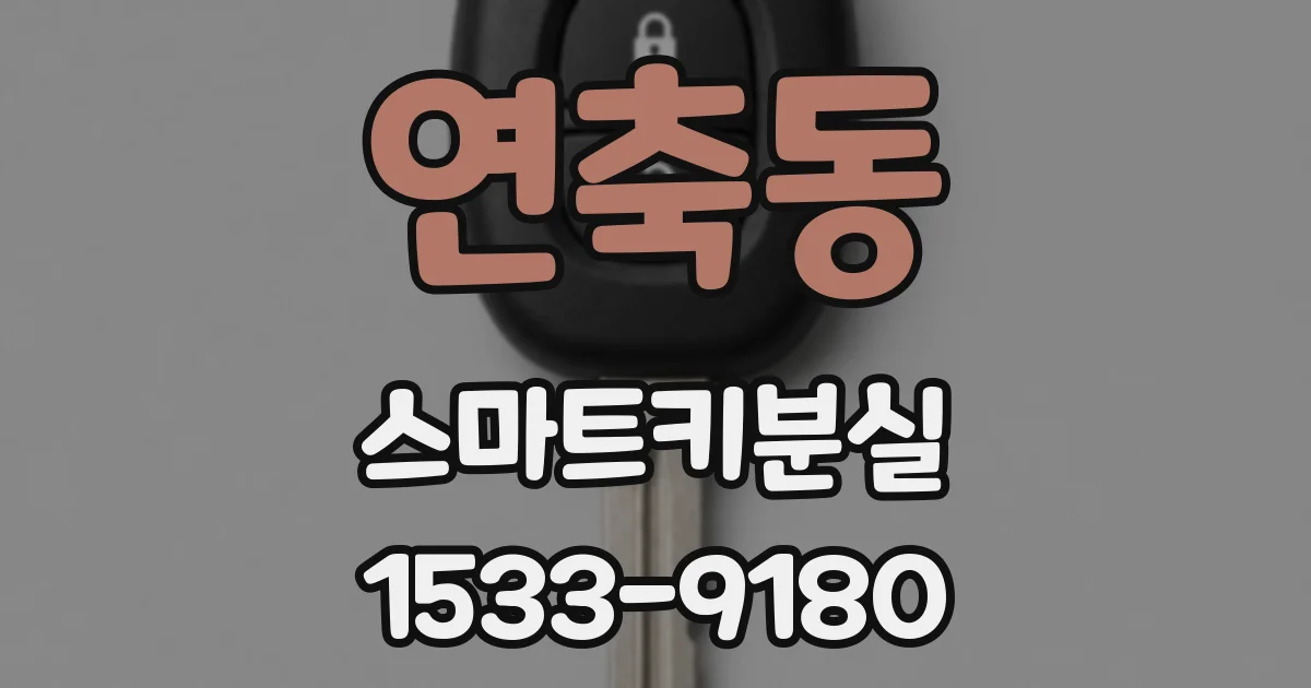 연축동 스마트키분실