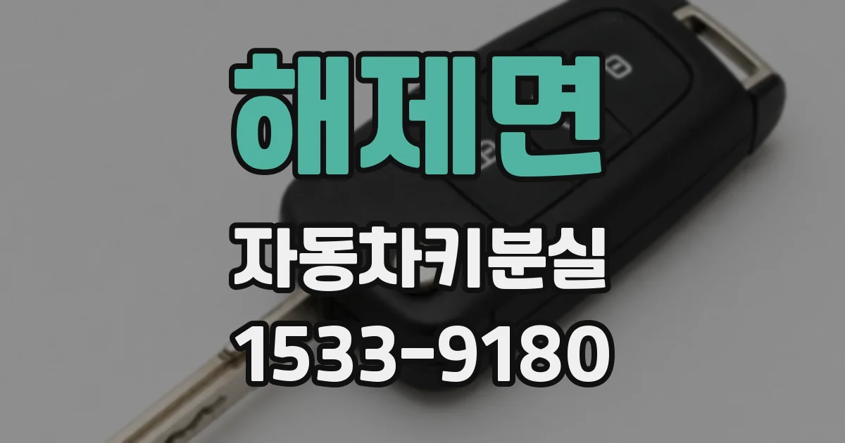 해제면 자동차키분실