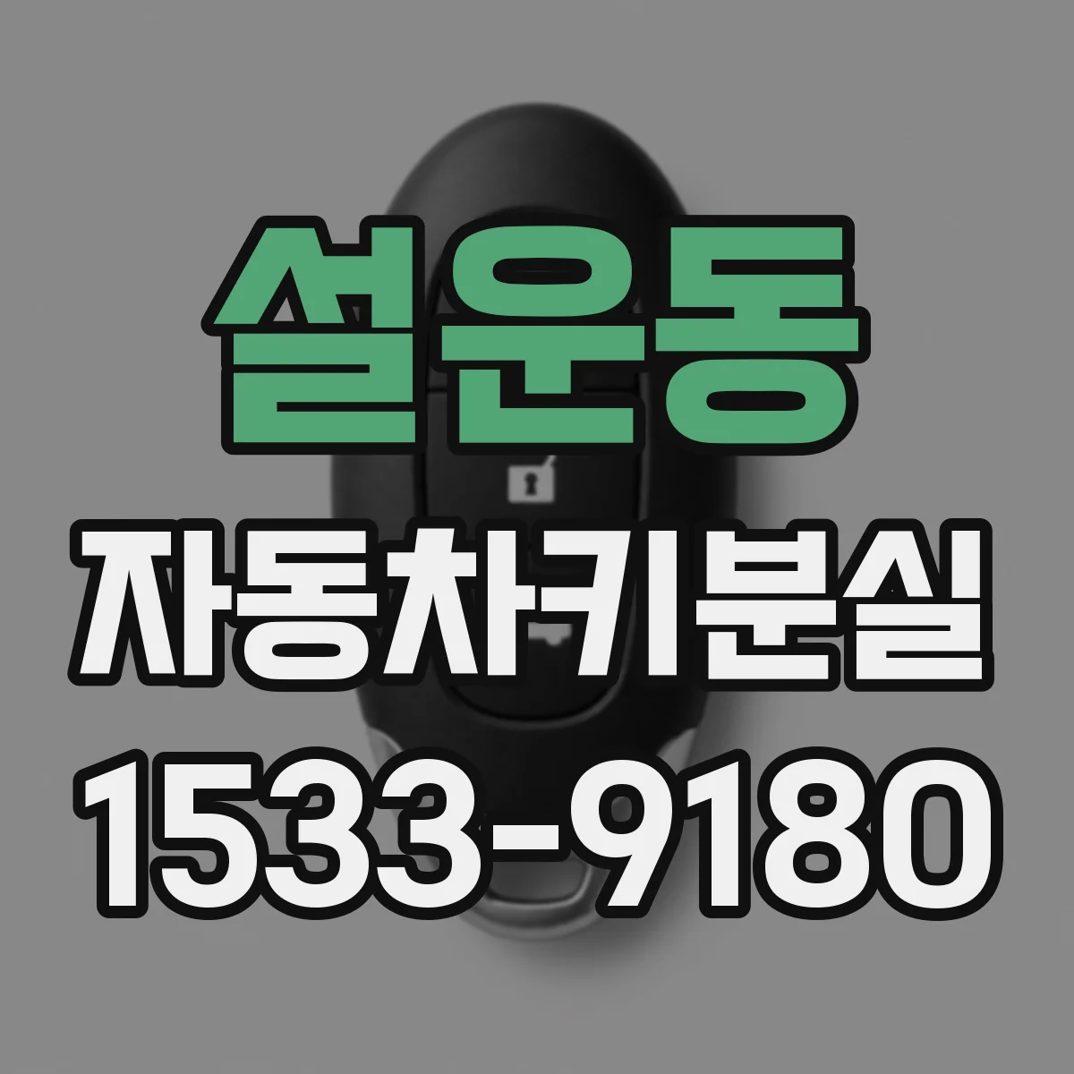 설운동 자동차키분실