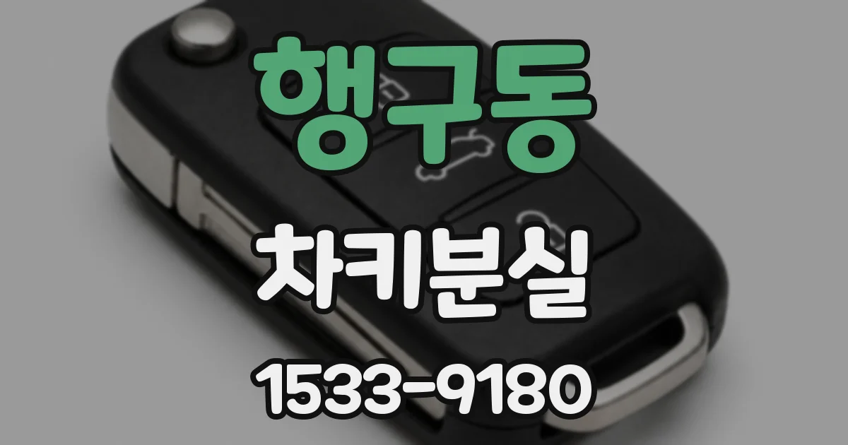 행구동 차키분실