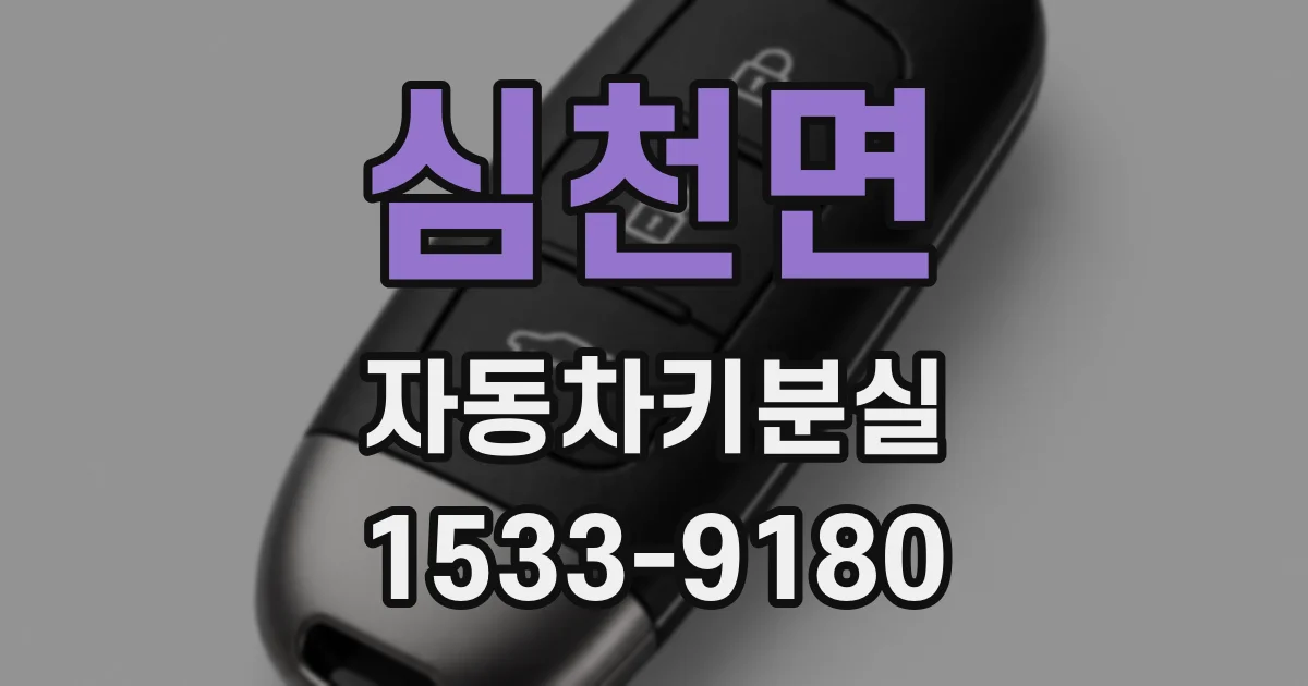 심천면 자동차키분실