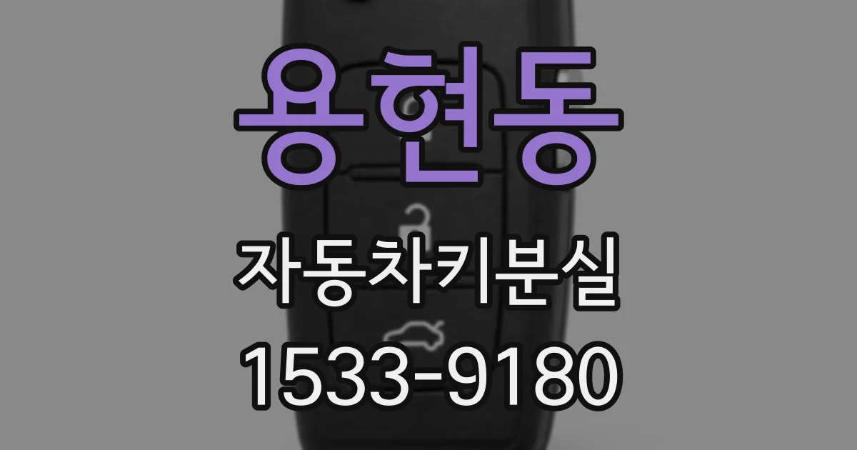 용현동 자동차키분실