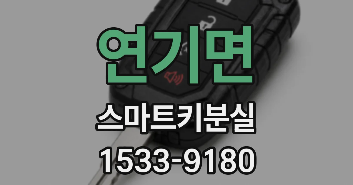 연기면 스마트키분실