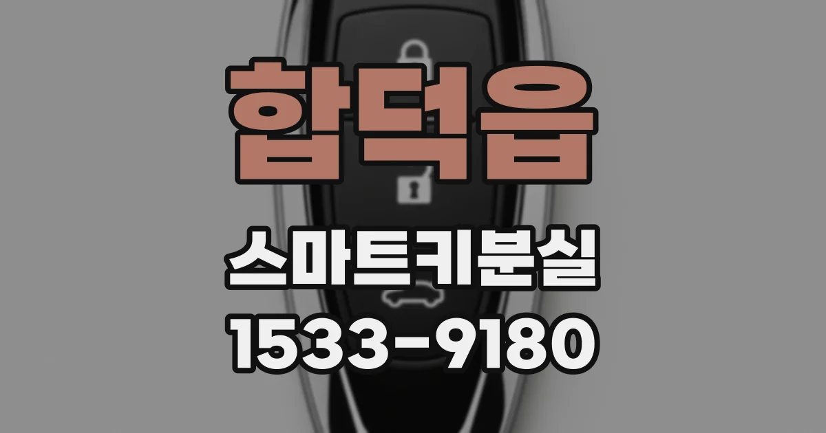 합덕읍 스마트키분실