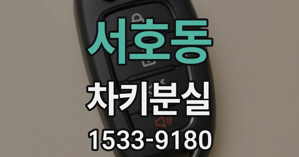 서호동 차키분실