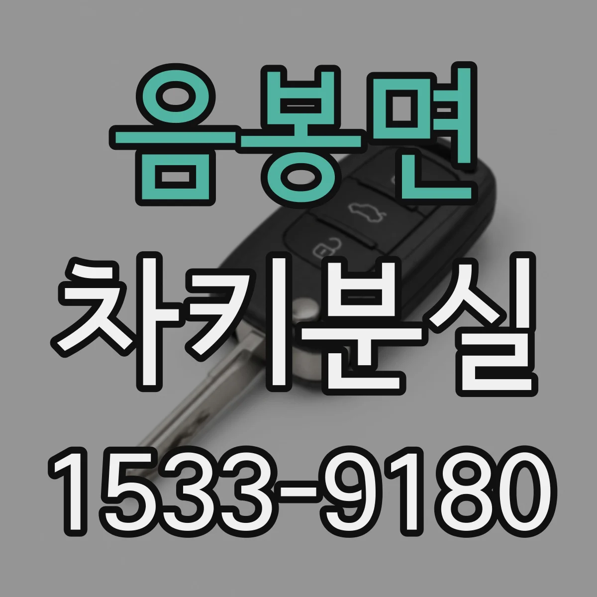 음봉면 차키분실