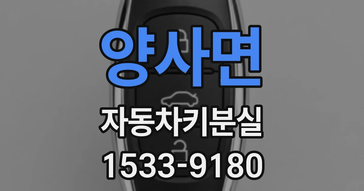 양사면 자동차키분실