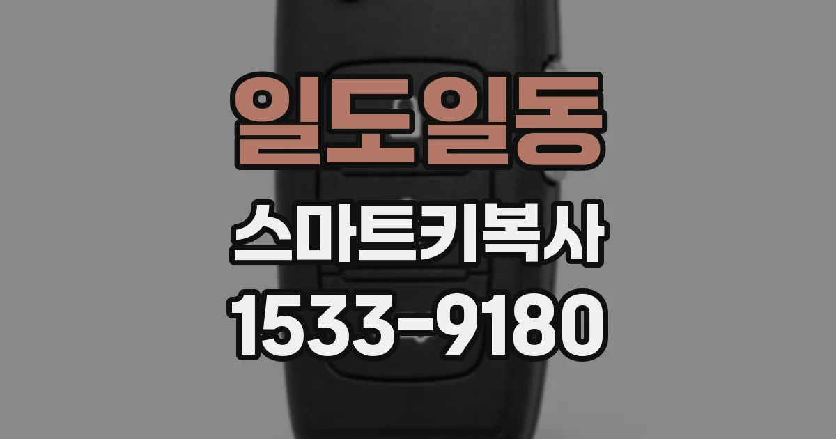일도일동 스마트키복사