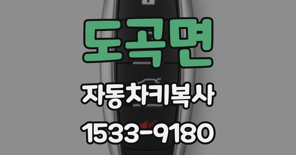 도곡면 자동차키복사