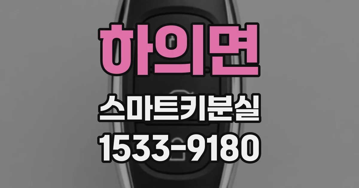 하의면 스마트키분실