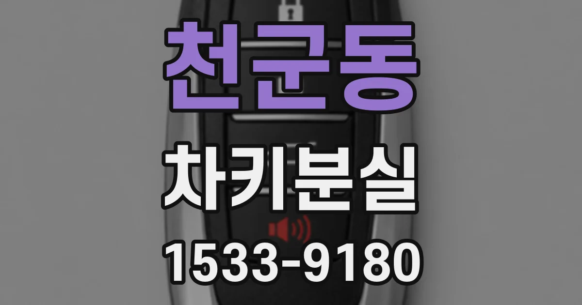 천군동 차키분실