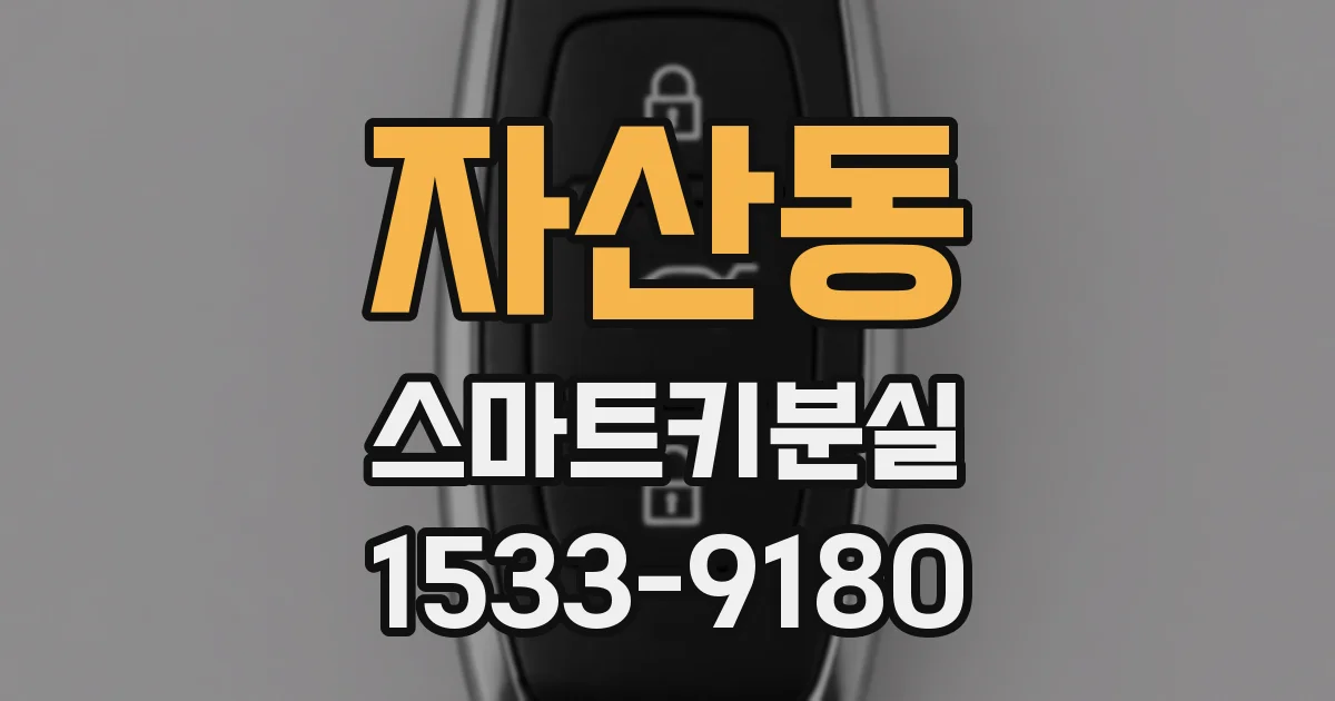 자산동 스마트키분실