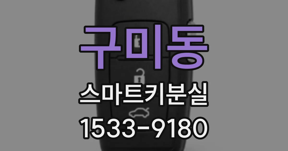 구미동 스마트키분실