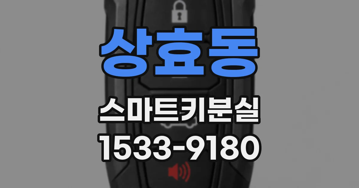 상효동 스마트키분실