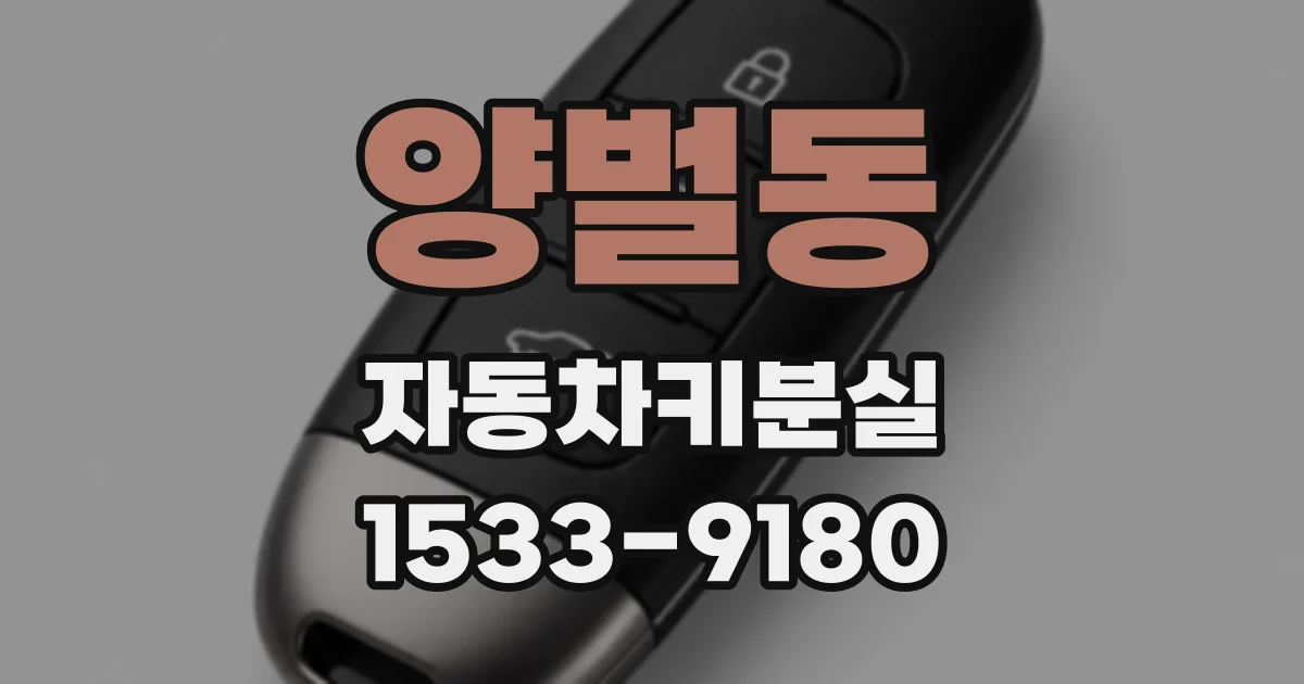 양벌동 자동차키분실