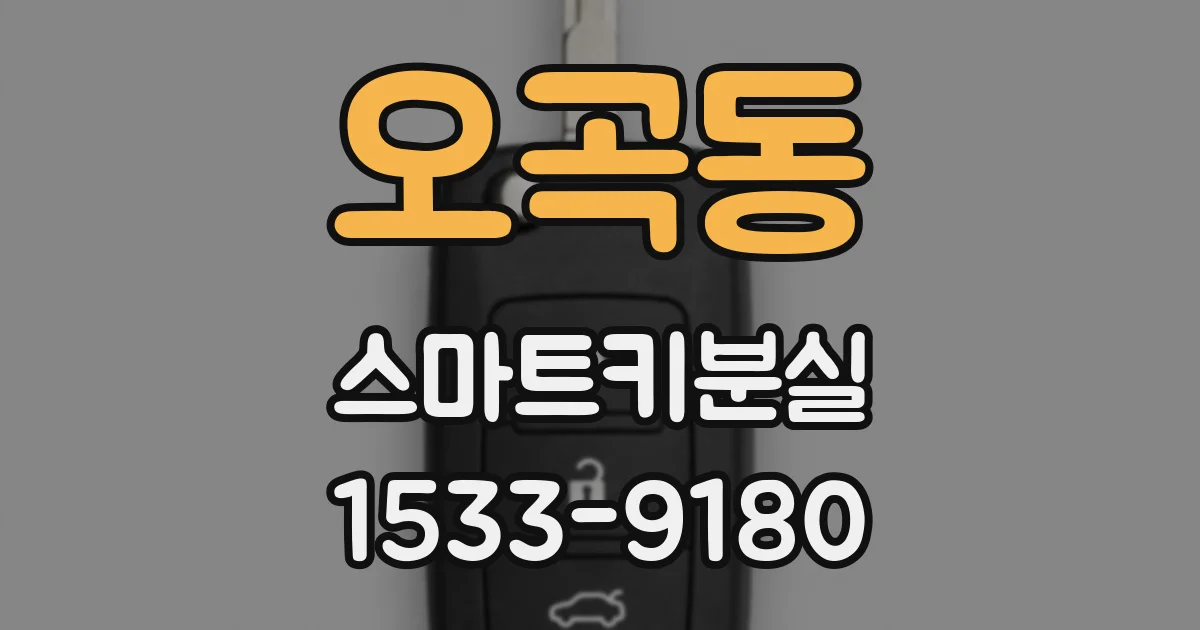 오곡동 스마트키분실