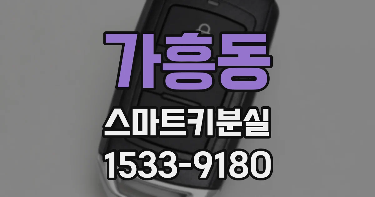 가흥동 스마트키분실