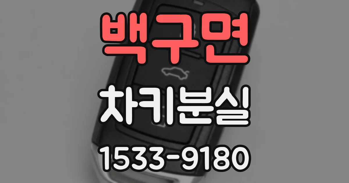 백구면 차키분실