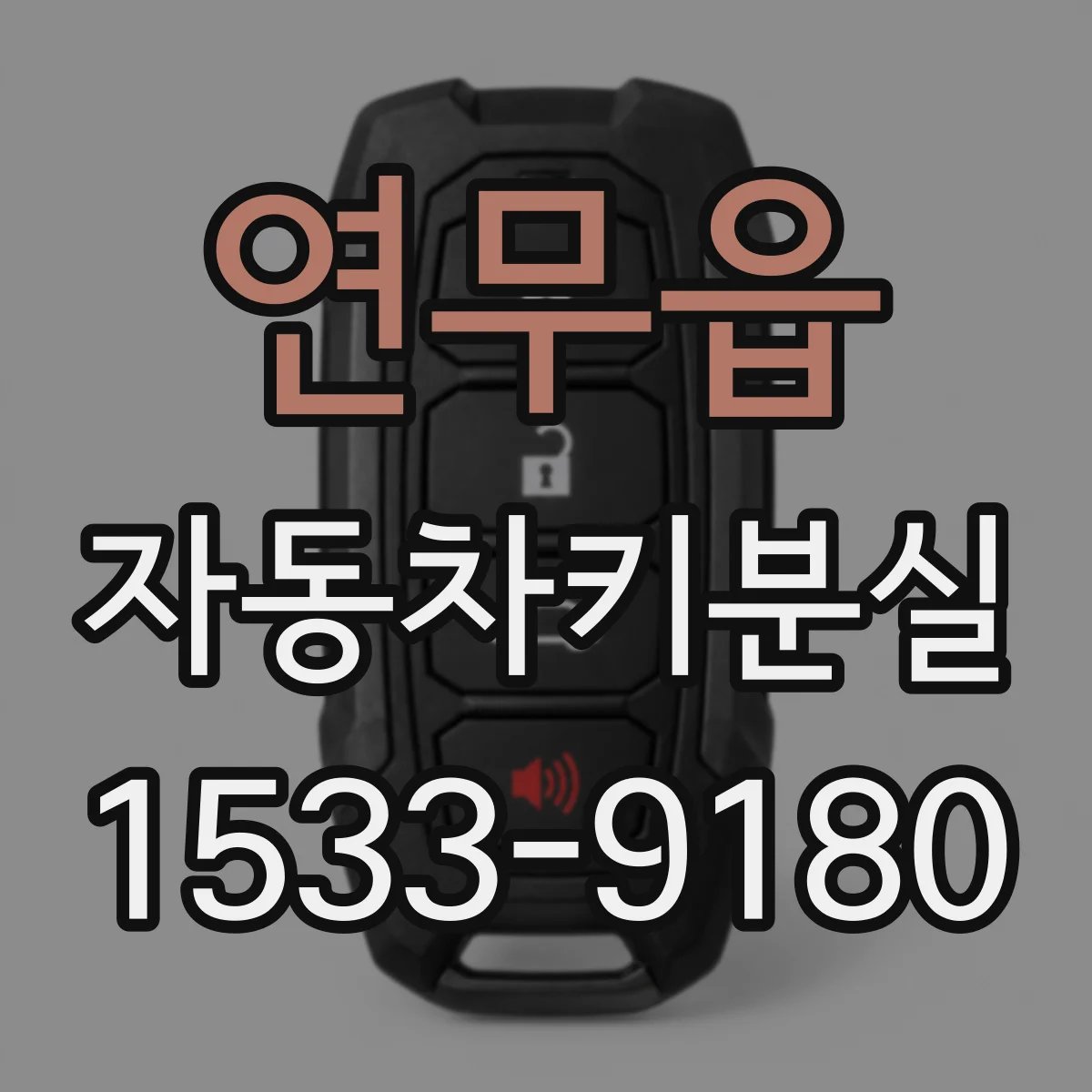 연무읍 자동차키분실