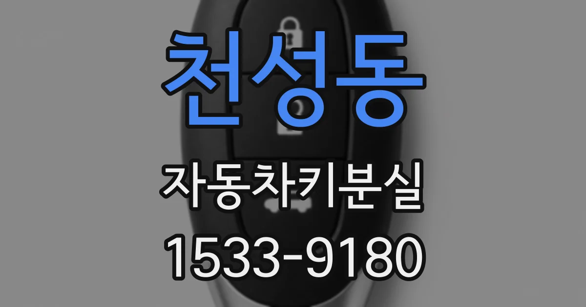 천성동 자동차키분실