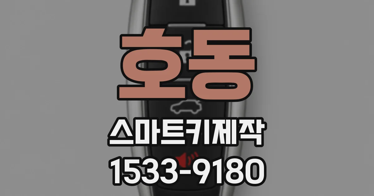 호동 스마트키제작