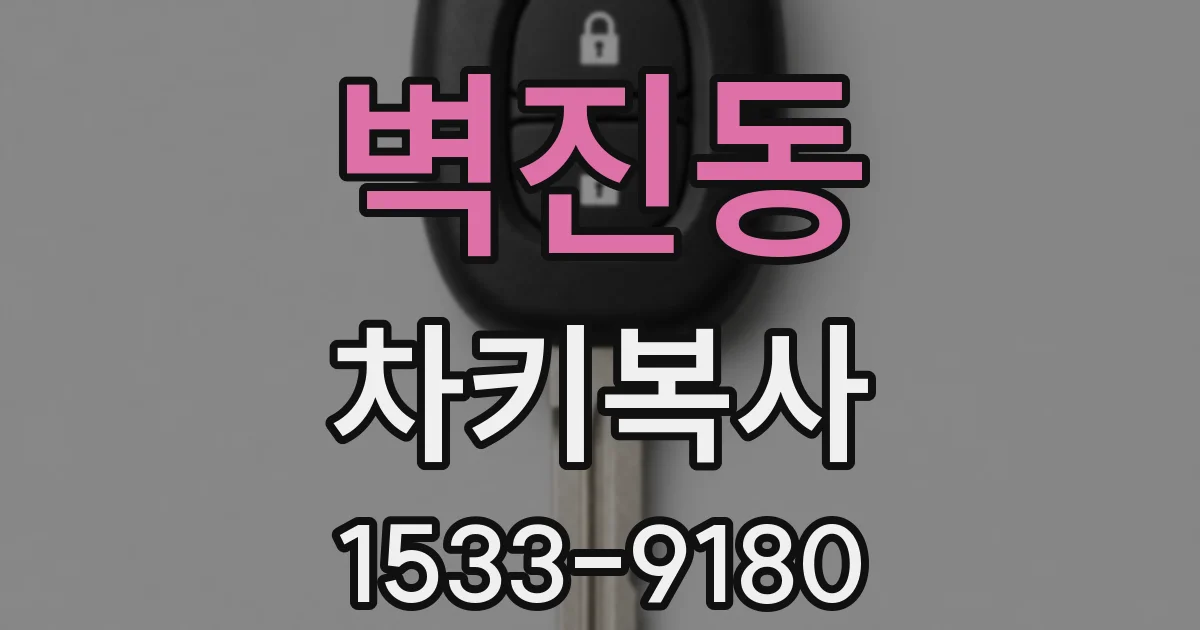 벽진동 차키복사