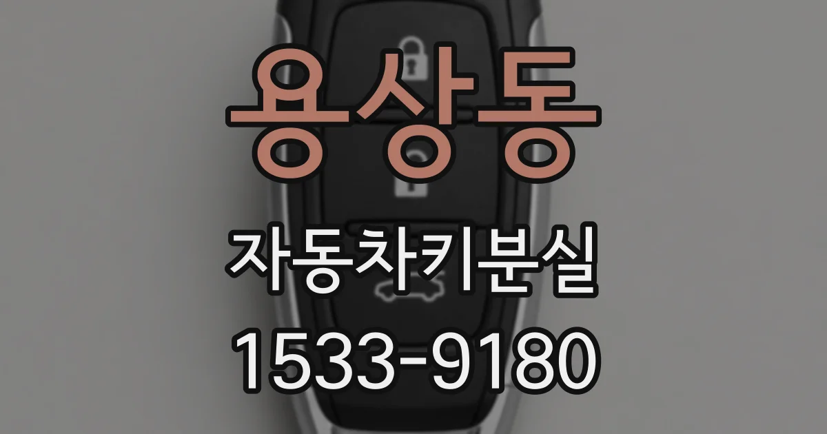 용상동 자동차키분실