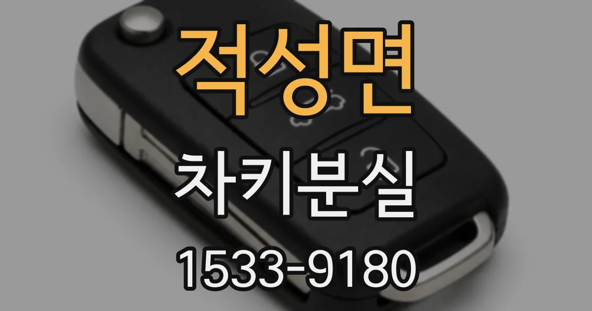 적성면 차키분실