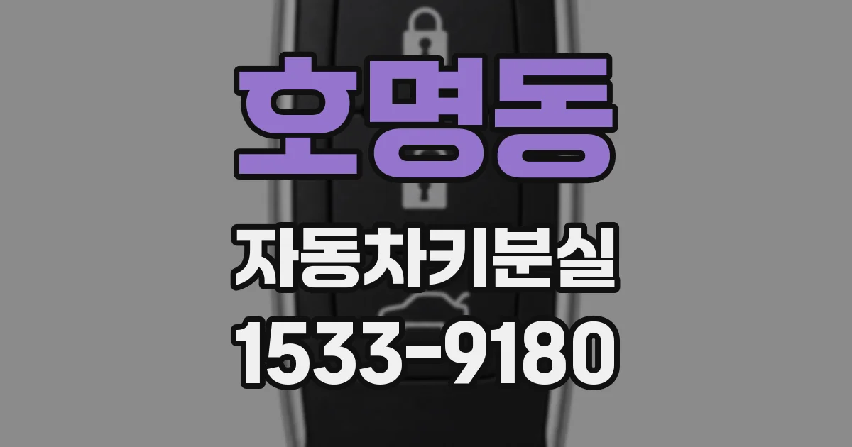 호명동 자동차키분실