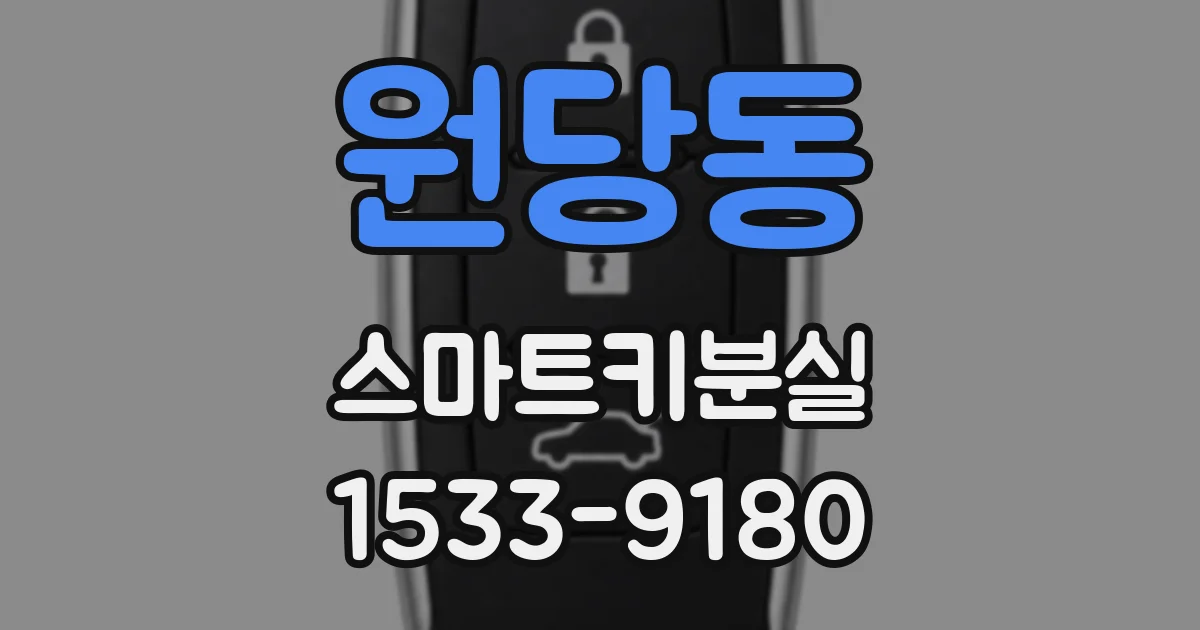 원당동 스마트키분실