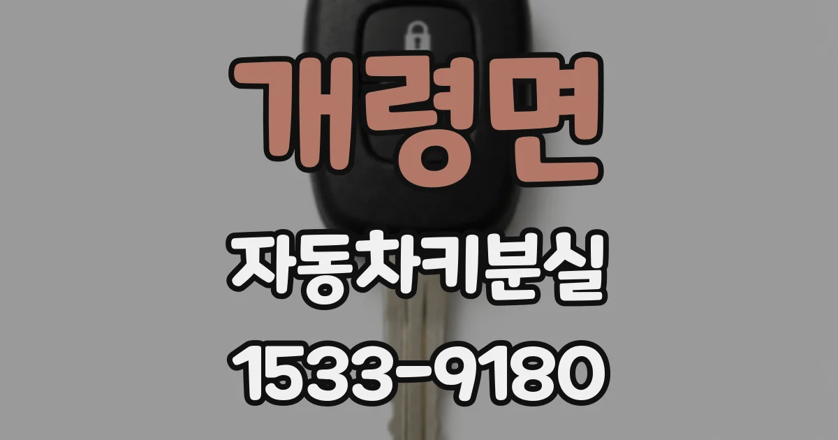 개령면 자동차키분실