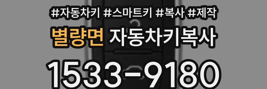 별량면 자동차키복사