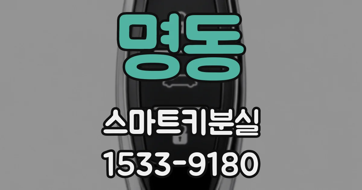 명동 스마트키분실