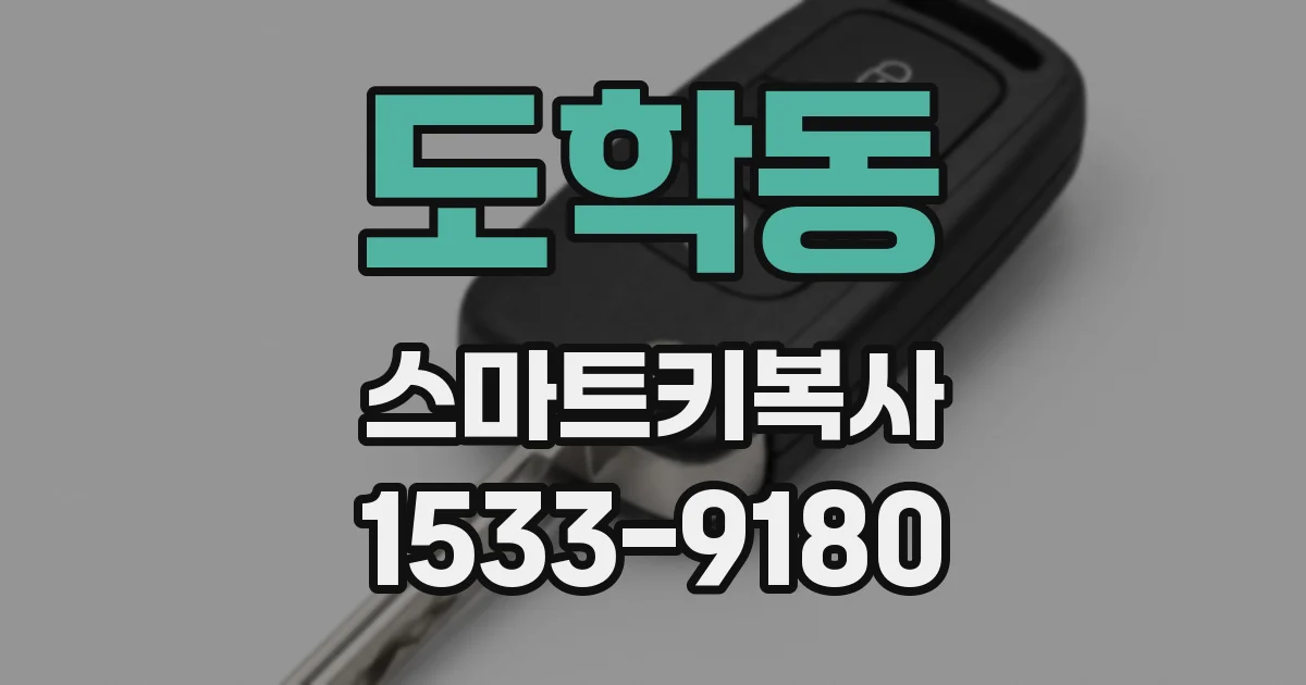 도학동 스마트키복사