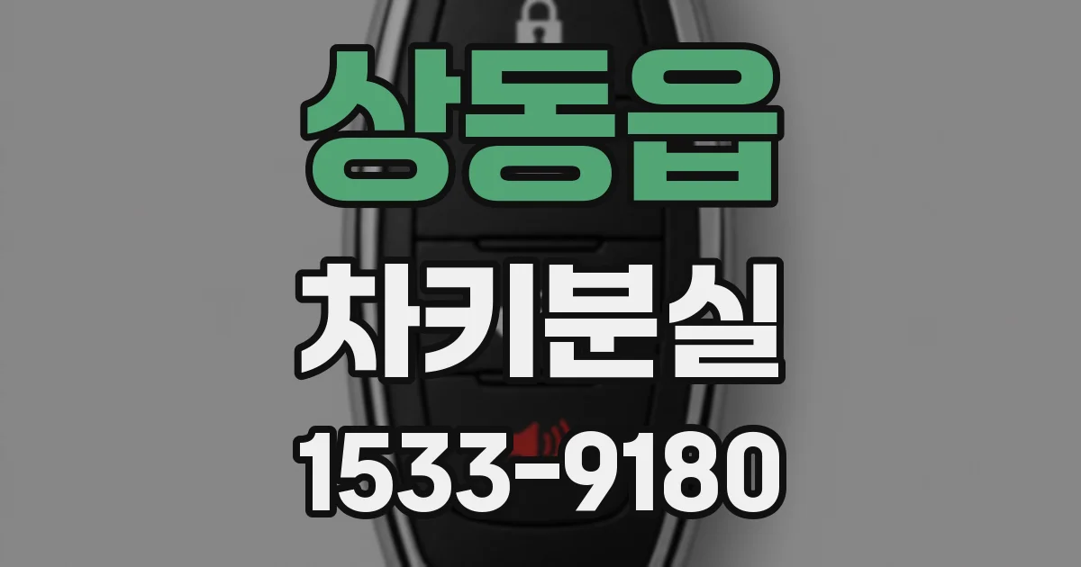 상동읍 차키분실