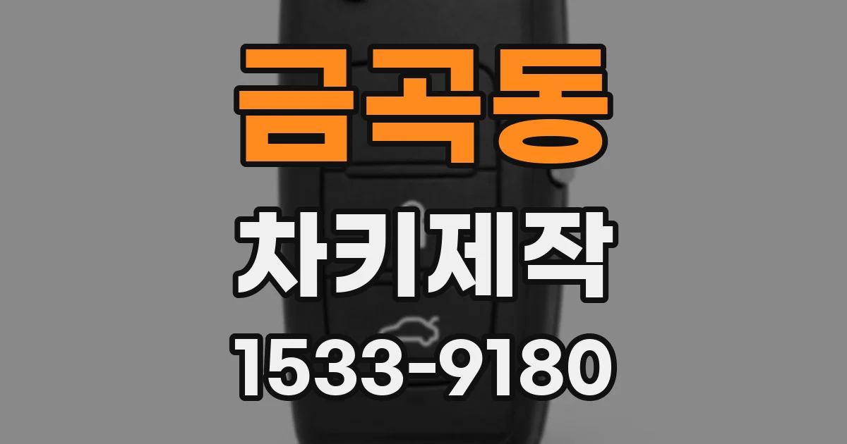 금곡동 차키제작