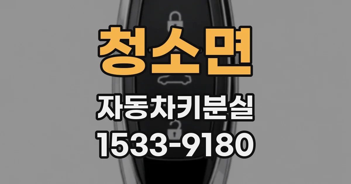 청소면 자동차키분실
