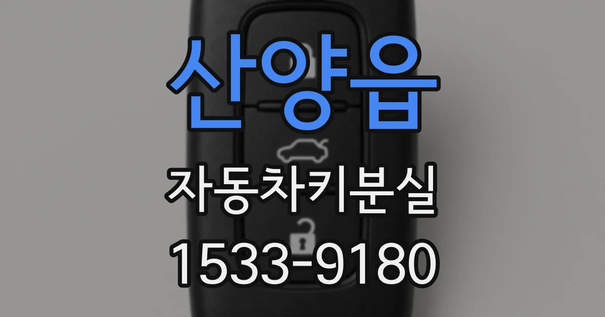 산양읍 자동차키분실