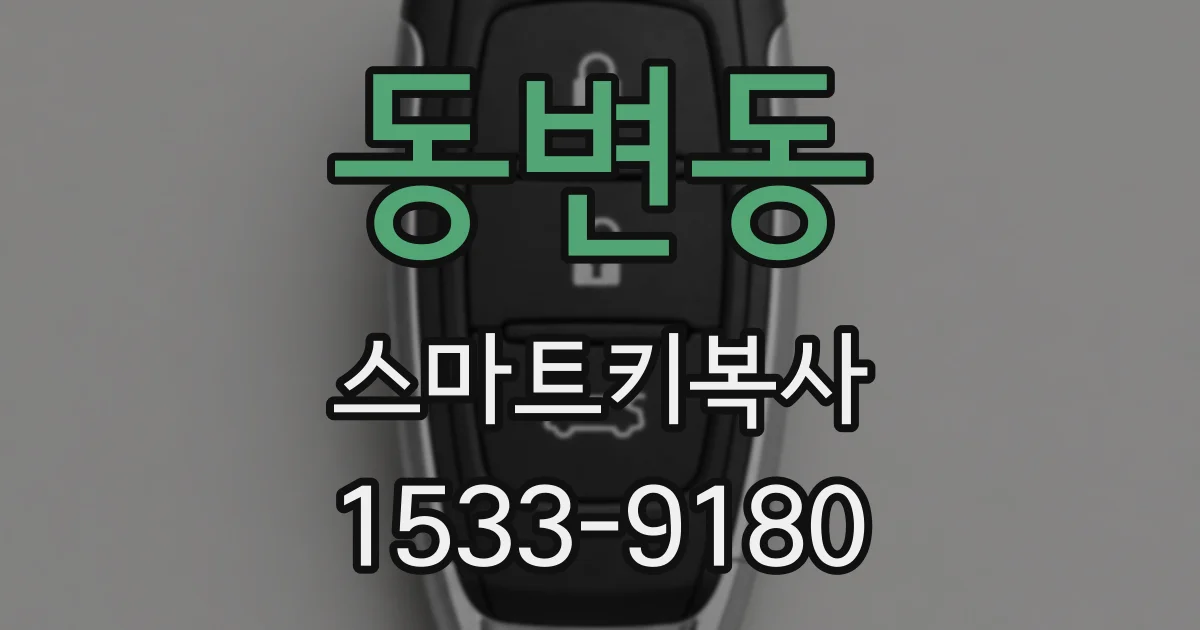 동변동 스마트키복사