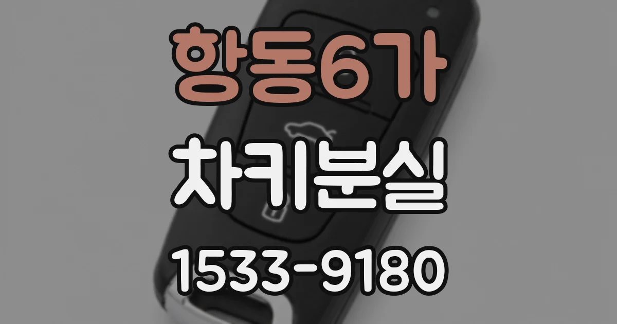 항동6가 차키분실