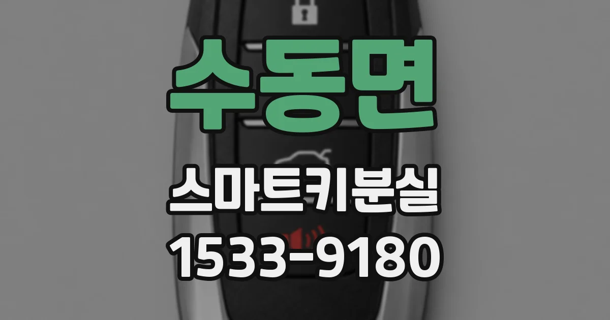 수동면 스마트키분실