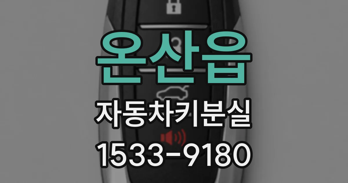 온산읍 자동차키분실