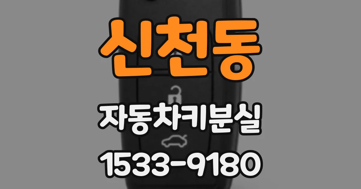 신천동 자동차키분실