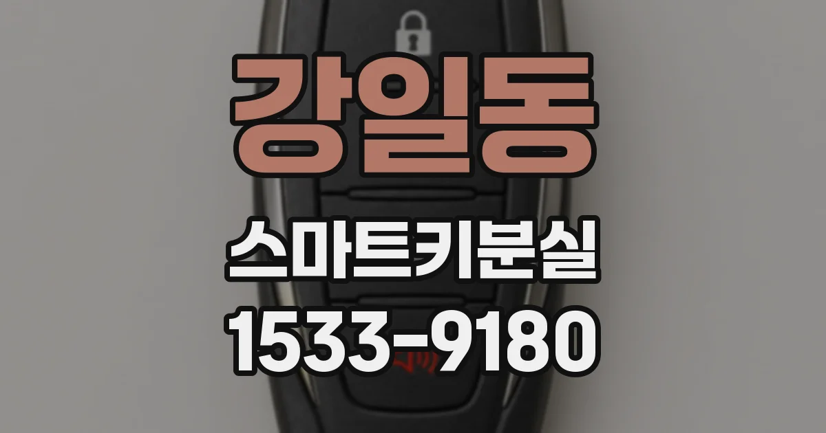 강일동 스마트키분실