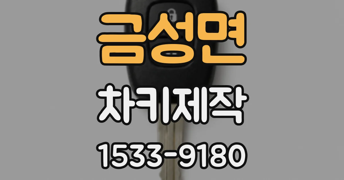 금성면 차키제작