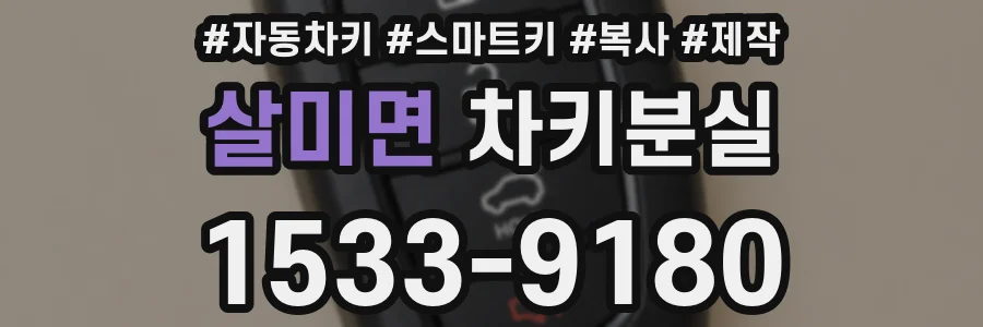 살미면 차키분실