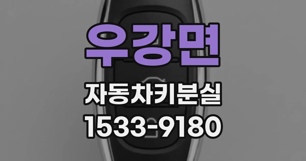 우강면 자동차키분실