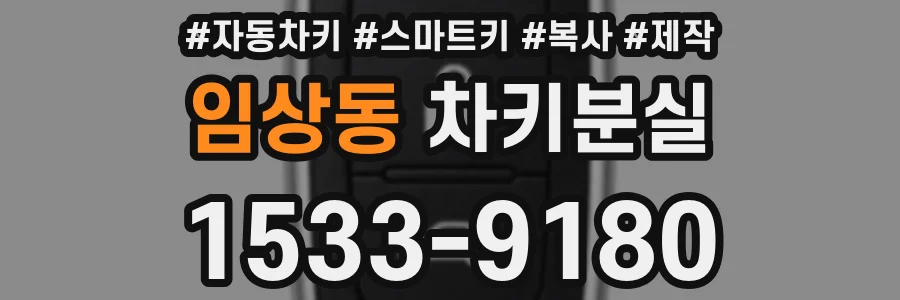임상동 차키분실