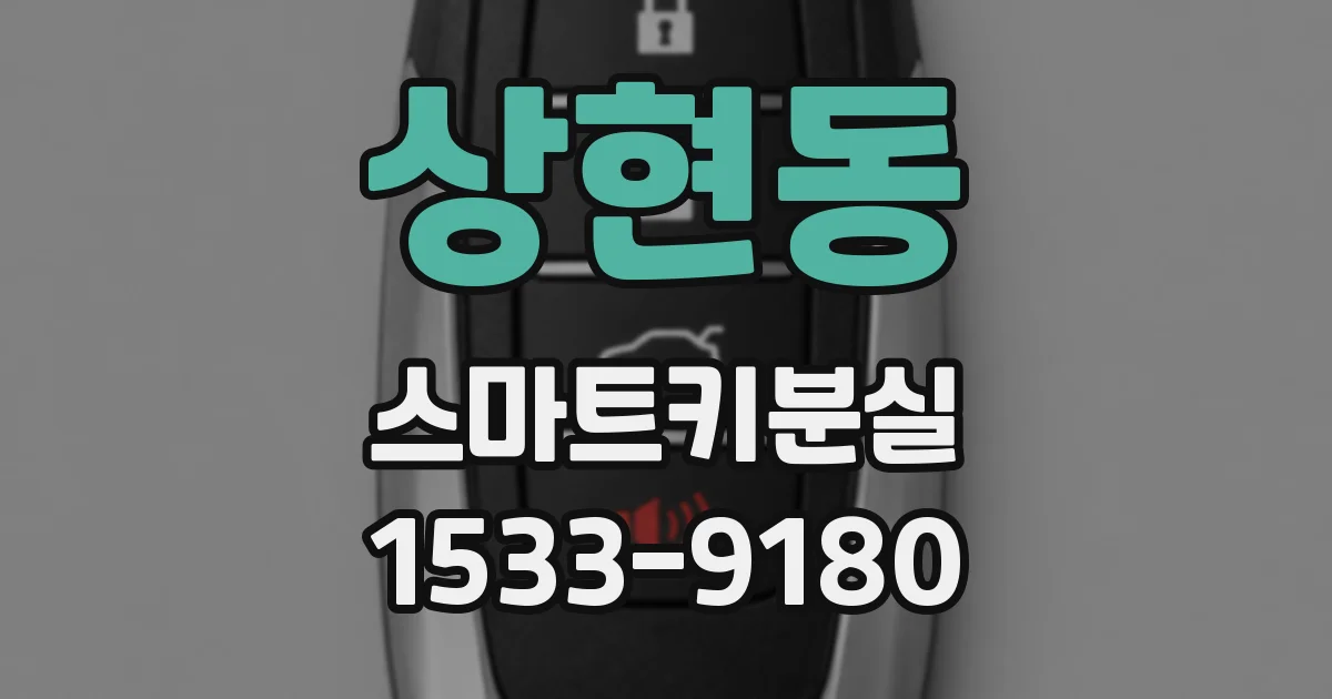 상현동 스마트키분실